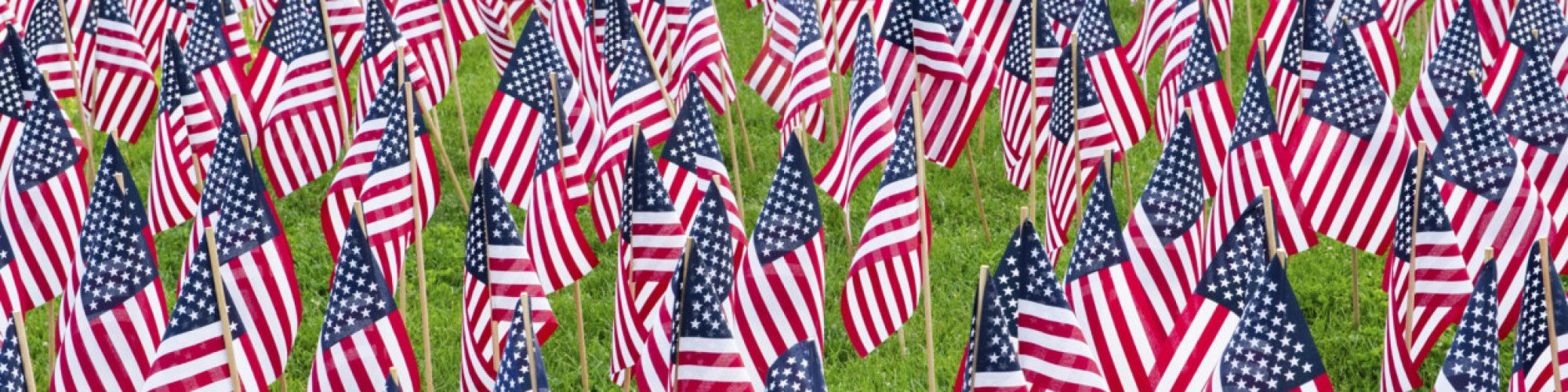 Field of American flags